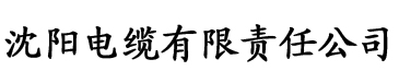 鲁啊鲁视频电缆厂logo